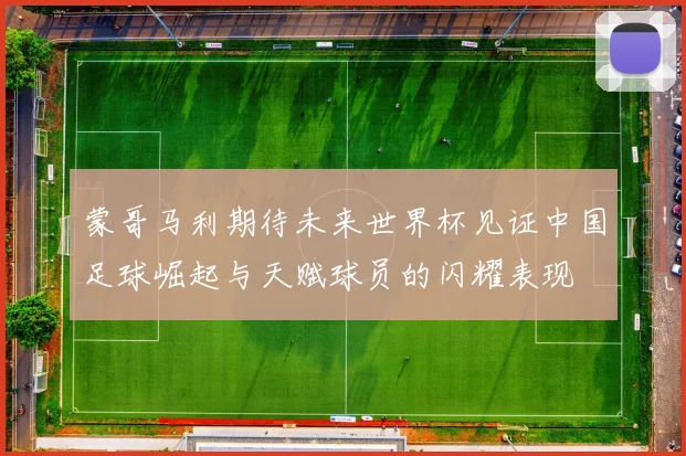 蒙哥马利期待未来世界杯见证中国足球崛起与天赋球员的闪耀表现