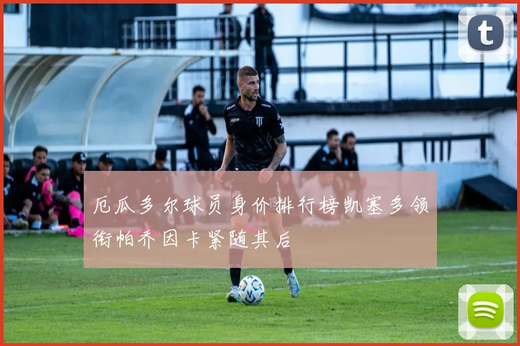 厄瓜多尔球员身价排行榜凯塞多领衔帕乔因卡紧随其后